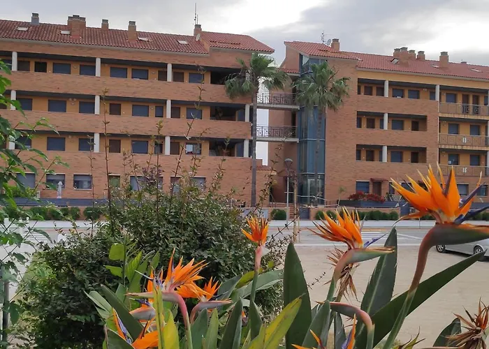 Apartamento En Deltebre Lo Delta