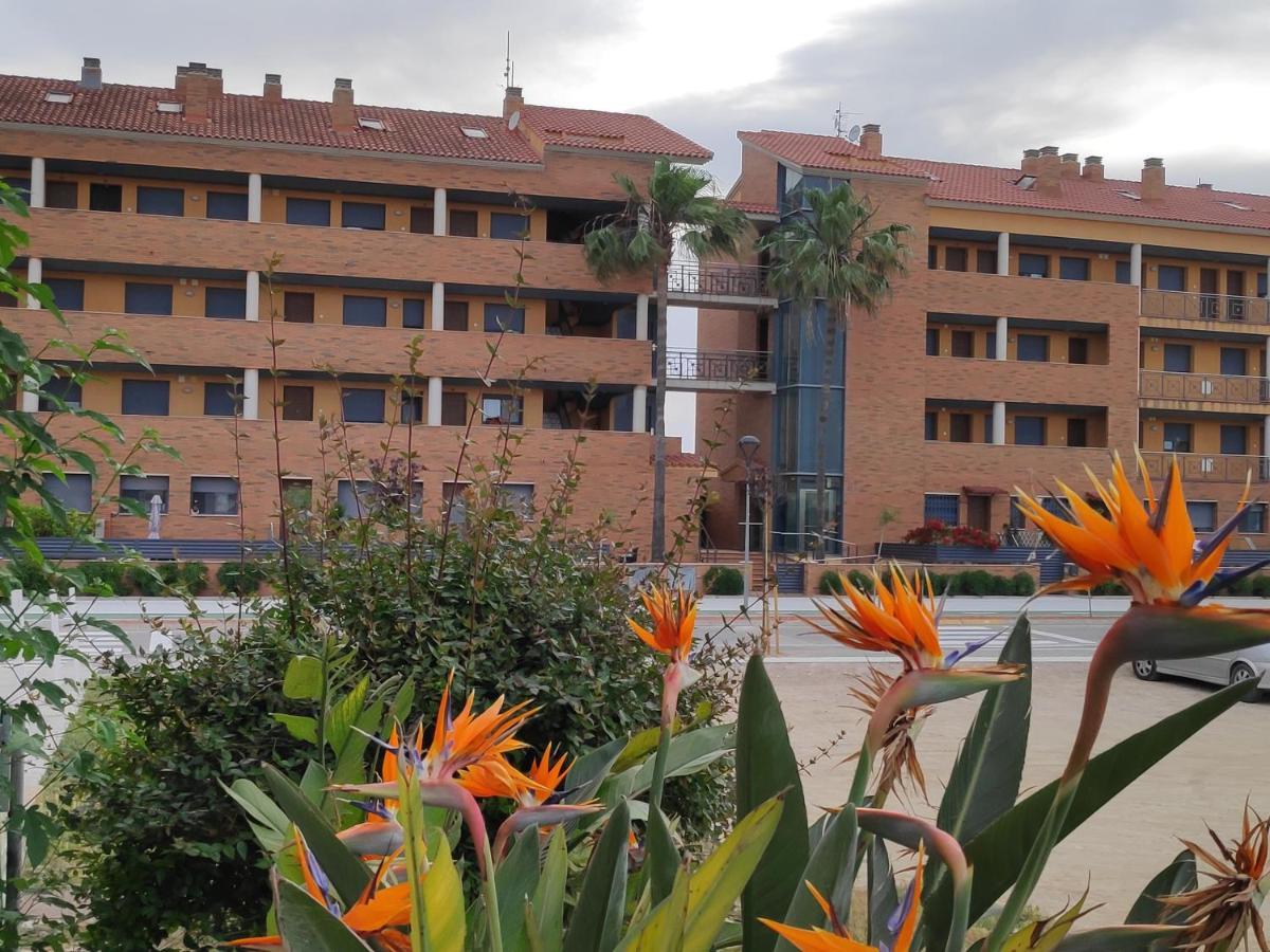 En Lo Delta Apartment Deltebre